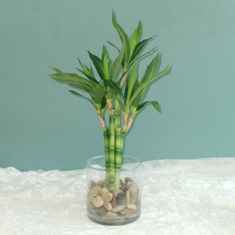 Outdoor Furniture Green - Nouvelle plante artificielle Bambou porte-bonheur de