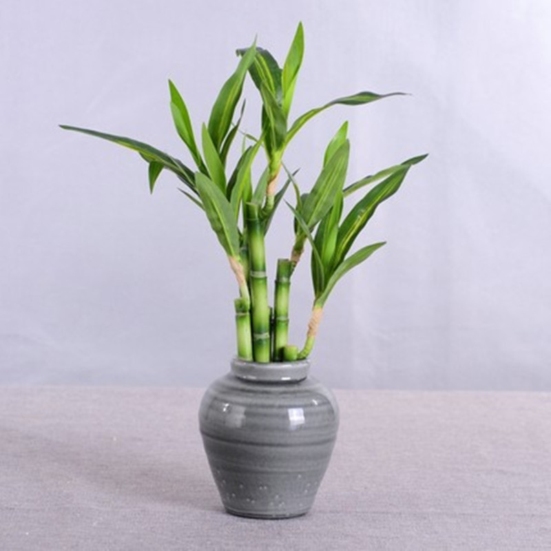 Nouvelle plante artificielle B - Outdoor Furniture Green avis et prix